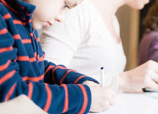 02-768x510 02-768x510